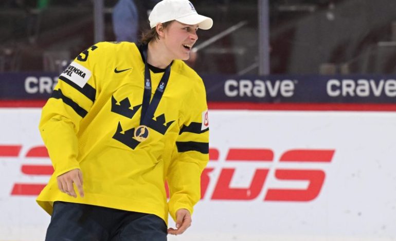  What do the top 10 NHL draft prospects need to prove in the new year?