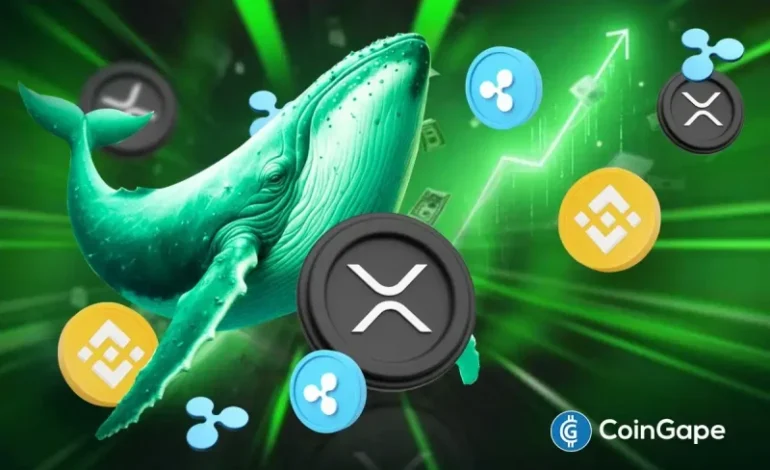  XRP Whale Inflows on Binance Hit 2-Year Low; Ripple Token Price Slips