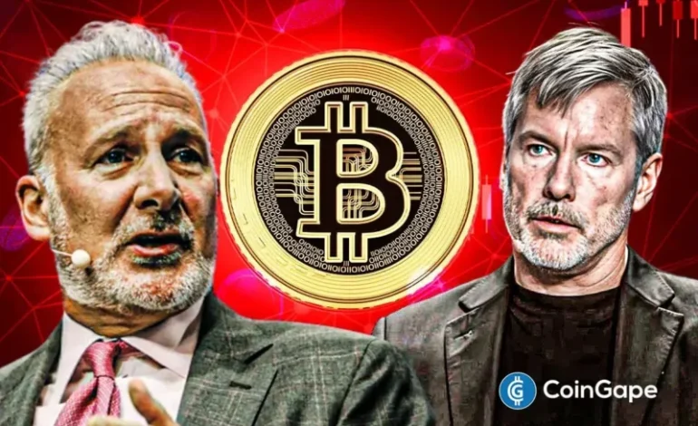  Peter Schiff Warns Bitcoin Could Keep Falling Even If Michael Saylor Buys More BTC